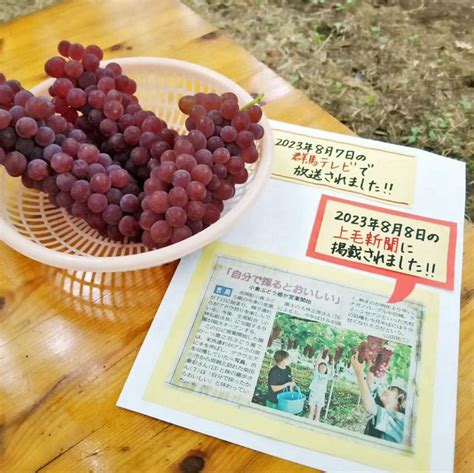 鷹之羽ぶどう園｜群馬のぶどう狩り、ぶどう直売・全国発送｜群馬県 榛東村ぶどう郷／吉岡町小倉ぶどう郷