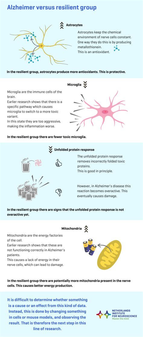 Alzheimers Without Symptoms Unraveling The Mystery