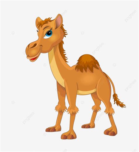 Lovely Camel Cartoon Camel Standing Vector Cartoon Camel Standing