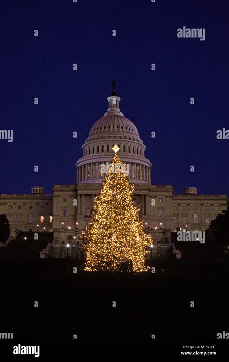 Washington DC, USA, December, 1993 The US Capital Christmas tree set up ...