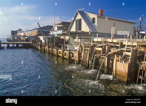 Harbor Crisfield Maryland Stock Photo - Alamy