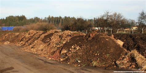 Strauch Baum Und Grasschnitt Anlieferung Auf Der Kompostieranlage