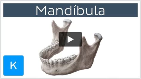 Clasificación De Fractura De Mandíbula