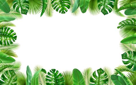 Premium Vector Tropical Leaves Frame Background Border Green Leaf