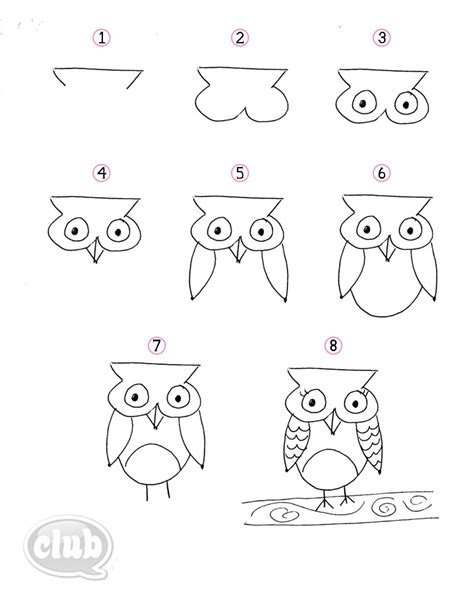 owl drawing easy step by step - Ping Yazzie