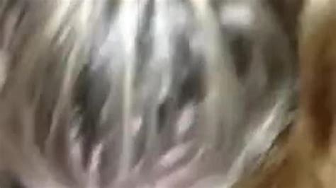 White Head Matters Porn Videos