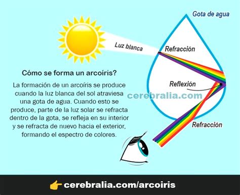 CÓMO SE FORMA EL ARCOÍRIS COLORES TIPOS Y MÁS