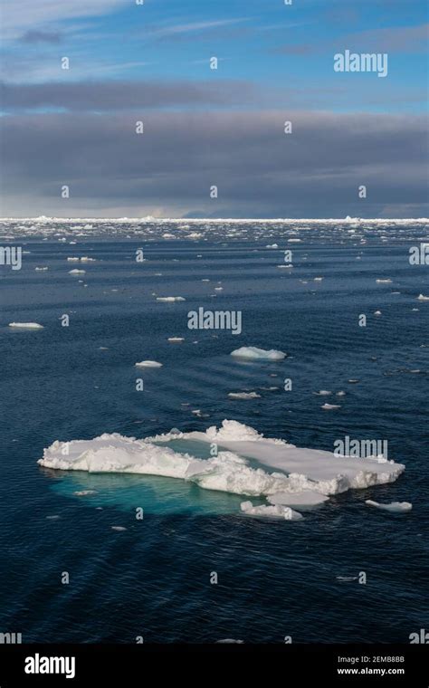 Ice Floes In The Erik Eriksenstretet Strait Separating Kong Karls Land