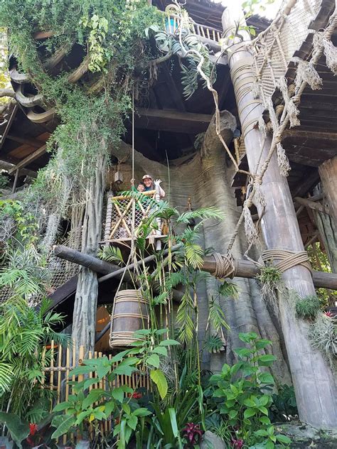 Tarzans Treehouse Disneyland