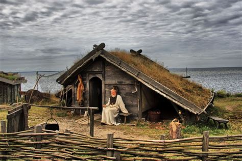 Viking House Viking Village Viking Life