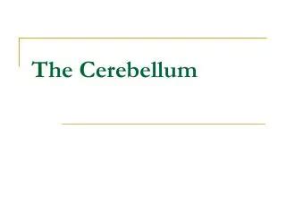 Ppt The Vestibular System And Cerebellum Powerpoint Presentation