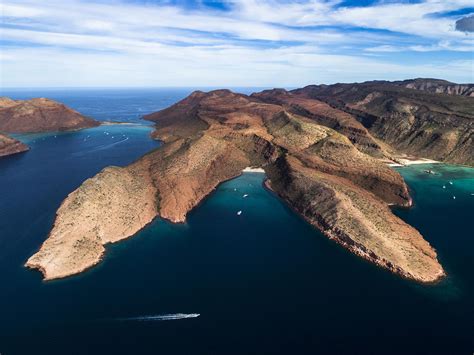 Fotos El Mundo Submarino De Las Islas Del Golfo De California En El