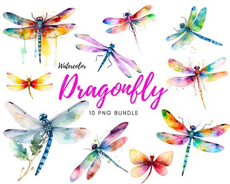 Dragonfly Art, Watercolor Dragonfly Clipart, Watercolor Dragonfly ...