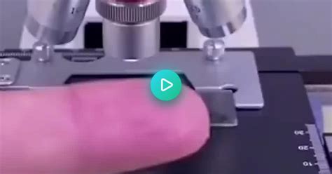 Microscope Omg Album On Imgur