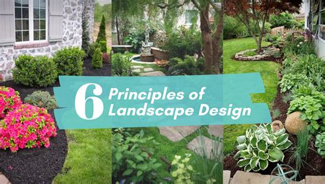 6 Principles Of Landscape Design Garden Goods Direct