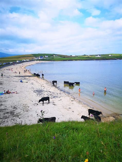 Utterly beautiful beach in Donegal this afternoon. : ireland