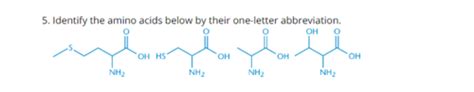 Amino Acids Peptides And Proteins Chapter 1 Biochem Review Flashcards