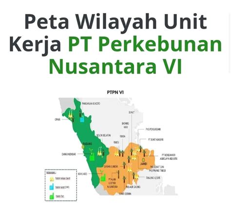 BUMN PTPN VI Buka Loker Untuk 5 Posisi Daftar Di Rekrutmen Lpp Co Id