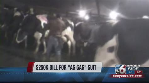 Judge Orders Idaho To Pay 250000 In Ag Gag Law Fallout Youtube