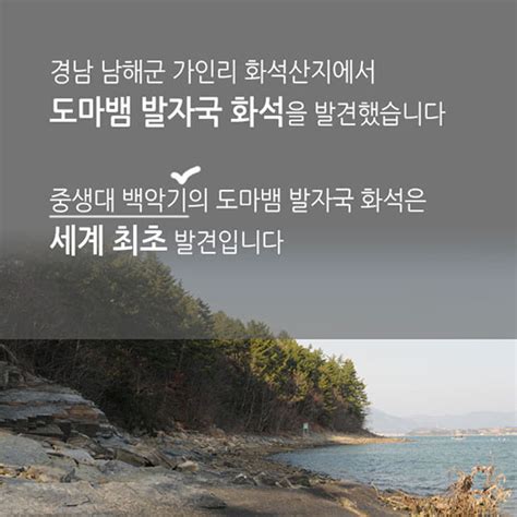 세계 최초 중생대 백악기 도마뱀발자국 화석 발견