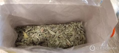 Отзыв о Магазин натуральных масел и духов Нефертити (Египет, Шарм-эль ...