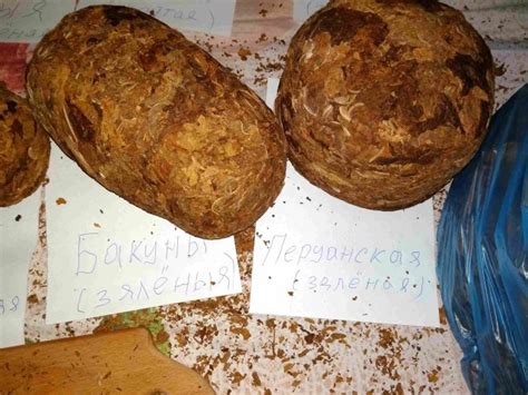 Так выглядят 12 килограммов махорки | Пикабу