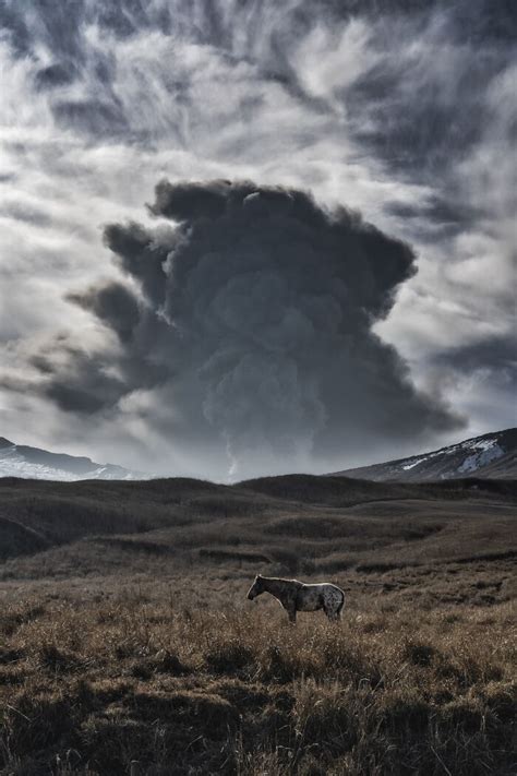 30 Of The Best Nature Photos From The Tokyo International Foto Awards ...