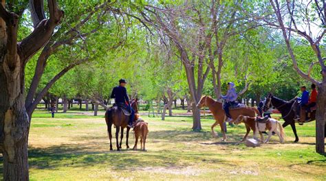 Visite Parque Público Federal El Chamizal em Ciudad Juarez | Expedia.com.br