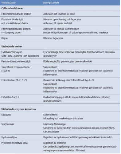 Specifika Bakterier Flashcards Quizlet