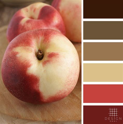 White Nectarine Color Palette Color Palette Design Room Color