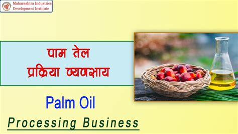 पाम तेल प्रक्रिया व्यवसाय Palm Oil Processing Youtube