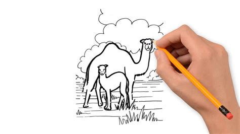 Desert Animals Drawing at GetDrawings | Free download