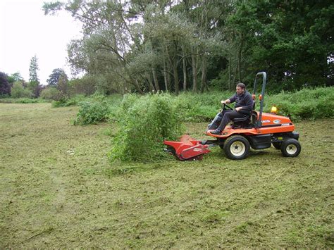 When To Cut A Wildflower Meadow Storables