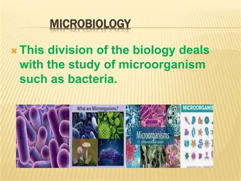 9th Biology Chapter 1 Introductionpptx