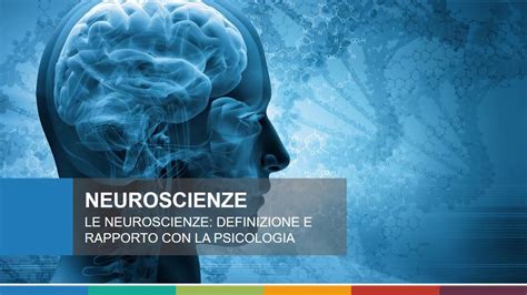 Le Neuroscienze Definizione E Ambiti Di Applicazione YouTube