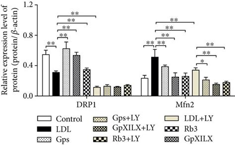 Gypenosides, Gypenoside XILX, and Ginsenoside Rb3 modulate the ... 