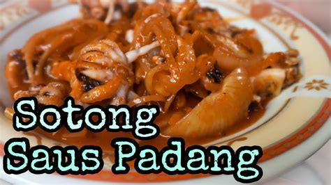 Resep Sotong Saus Padang Sotong Seafood Ala Amaniaminah Youtube