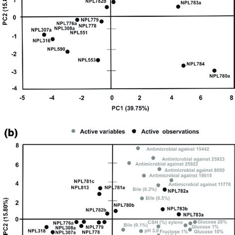 Graphical Representation Of The Correlation Biplots From The Principal Download Scientific