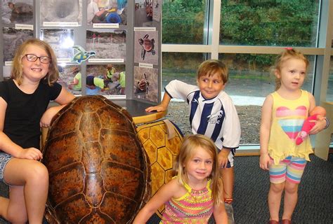 Turtle Patrol Educates Kids At Johns Island Library Tidelines