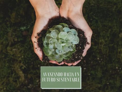 Avanzando Hacia Un Futuro Sustentable Iniciativas De Sustentabilidad