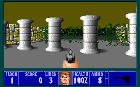 Wolfenstein 3d Pc 055 The King Of Grabs