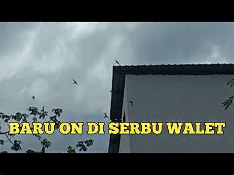 Rbw Mini X Sukses Memakai Suara Guru Besar Youtube