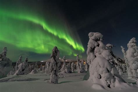 Best Arctic Circle Tours From Fairbanks Alaska