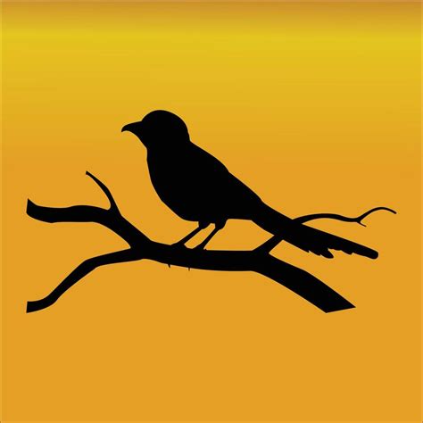 Silhouettes of cute birds, twilight - beautiful bird silhouette images ...