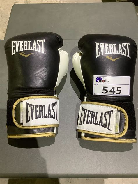 Pair Of Everlast Power Lock Boxing Gloves 16 Oz