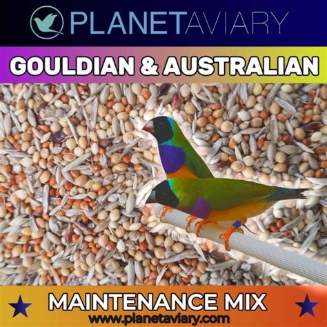 Gouldian Australian Finch Maintenance Mixture Planet Aviary