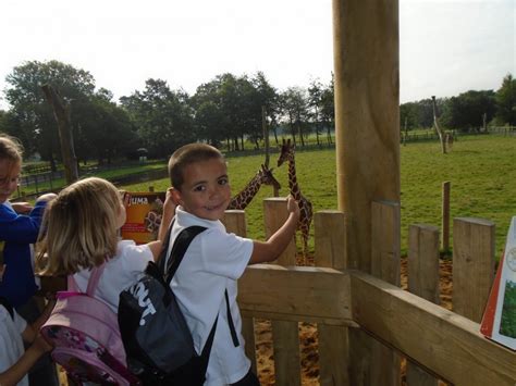 whipsnade zoo visit  beaudesert school
