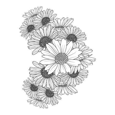 Daisy Flower Drawing Tattoo