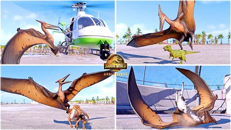 JP3 Pteranodon 2001 Model All Perfect Animations Jurassic World