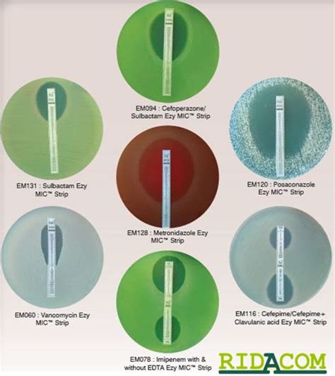 RIDACOM Comprehensive Bioscience Supplier Improved ESBL Detection Strip